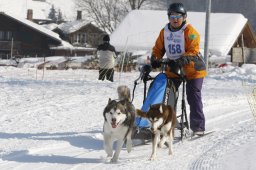 Lenk 2012 SM